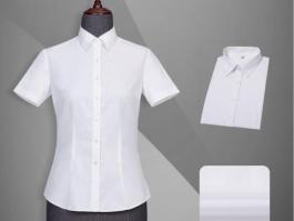 白领女短袖衬衫/正规领衬衫TC102A80