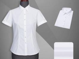 夏季职业女衬衫-女短袖正规领衬衫-TC108A87-白色竖条纹CVC短袖正规领女衬衫